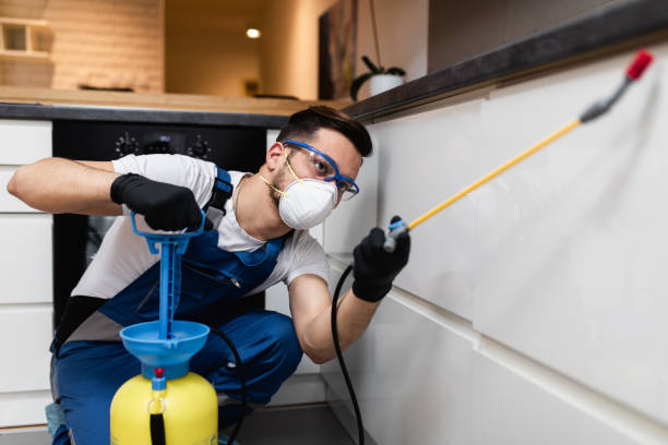 Best Residential Pest Control  in Mount Carmel, OH