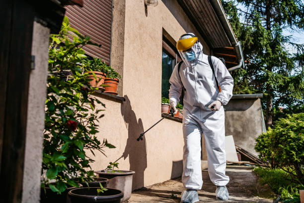 Best Pest Prevention Services  in Mount Carmel, OH