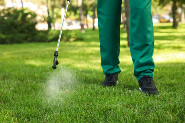 Best Pest Control Treatment  in Mount Carmel, OH