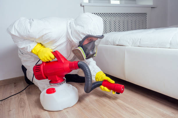 Trusted Mount Carmel, OH Pest Control Experts