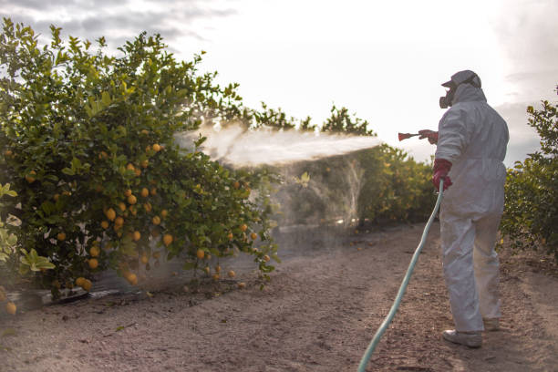 Best Termite Control Services  in Mount Carmel, OH