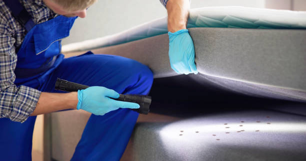 Best Pest Removal Services  in Mount Carmel, OH