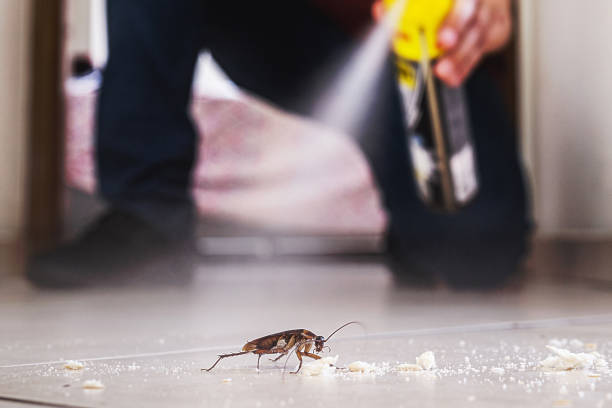 Best Wasp Removal Services  in Mount Carmel, OH