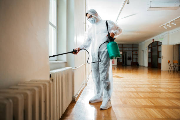 Best Flea Control Services  in Mount Carmel, OH